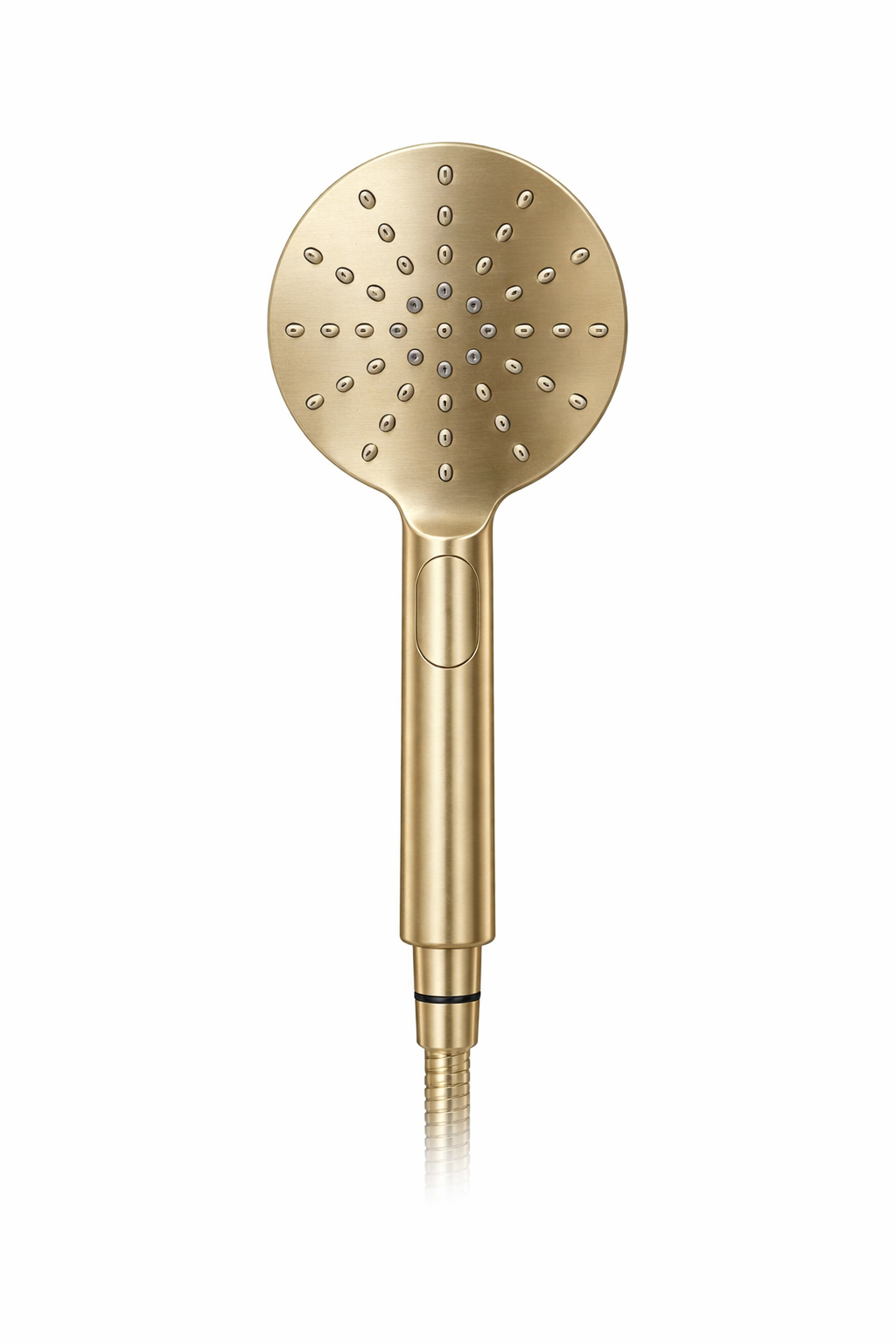 Elke Hand Shower Round Brushed Gold